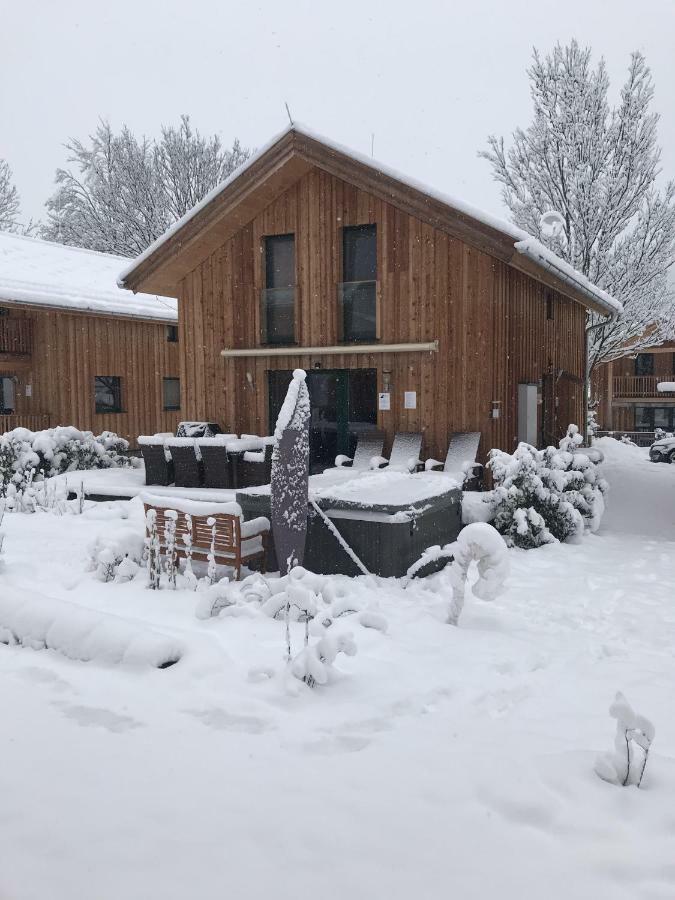 Luxury Chalet Kreischberg 11A Sankt Lorenzen ob Murau Buitenkant foto