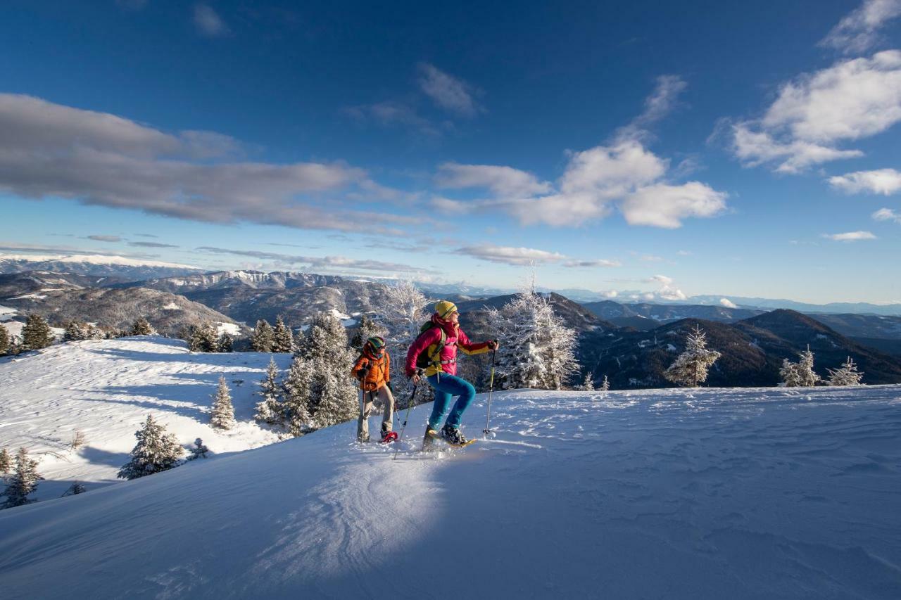 Luxury Chalet Kreischberg 11A Sankt Lorenzen ob Murau Buitenkant foto